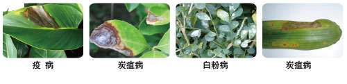 酷思特.jpg