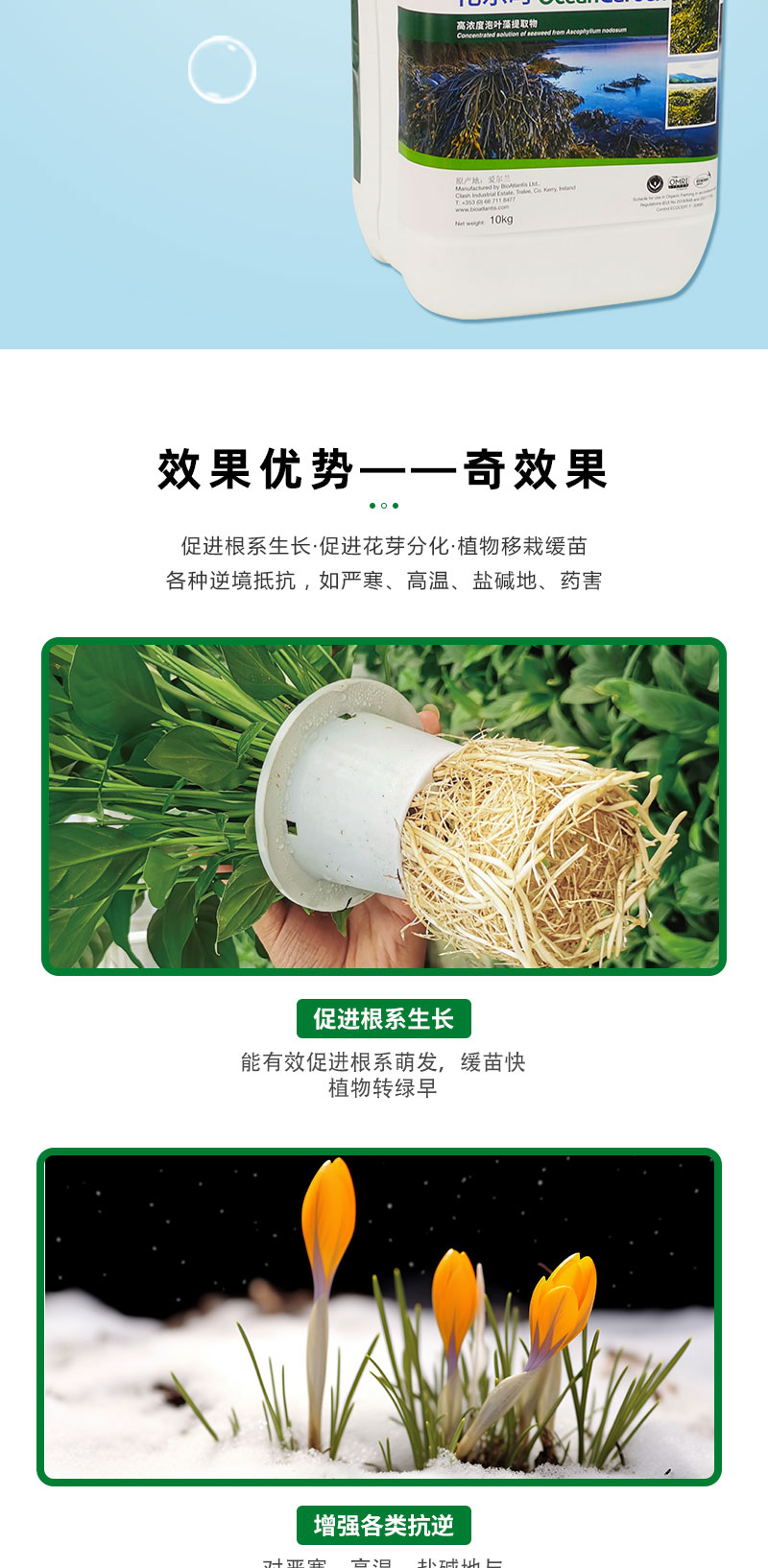 花樂時_03.jpg