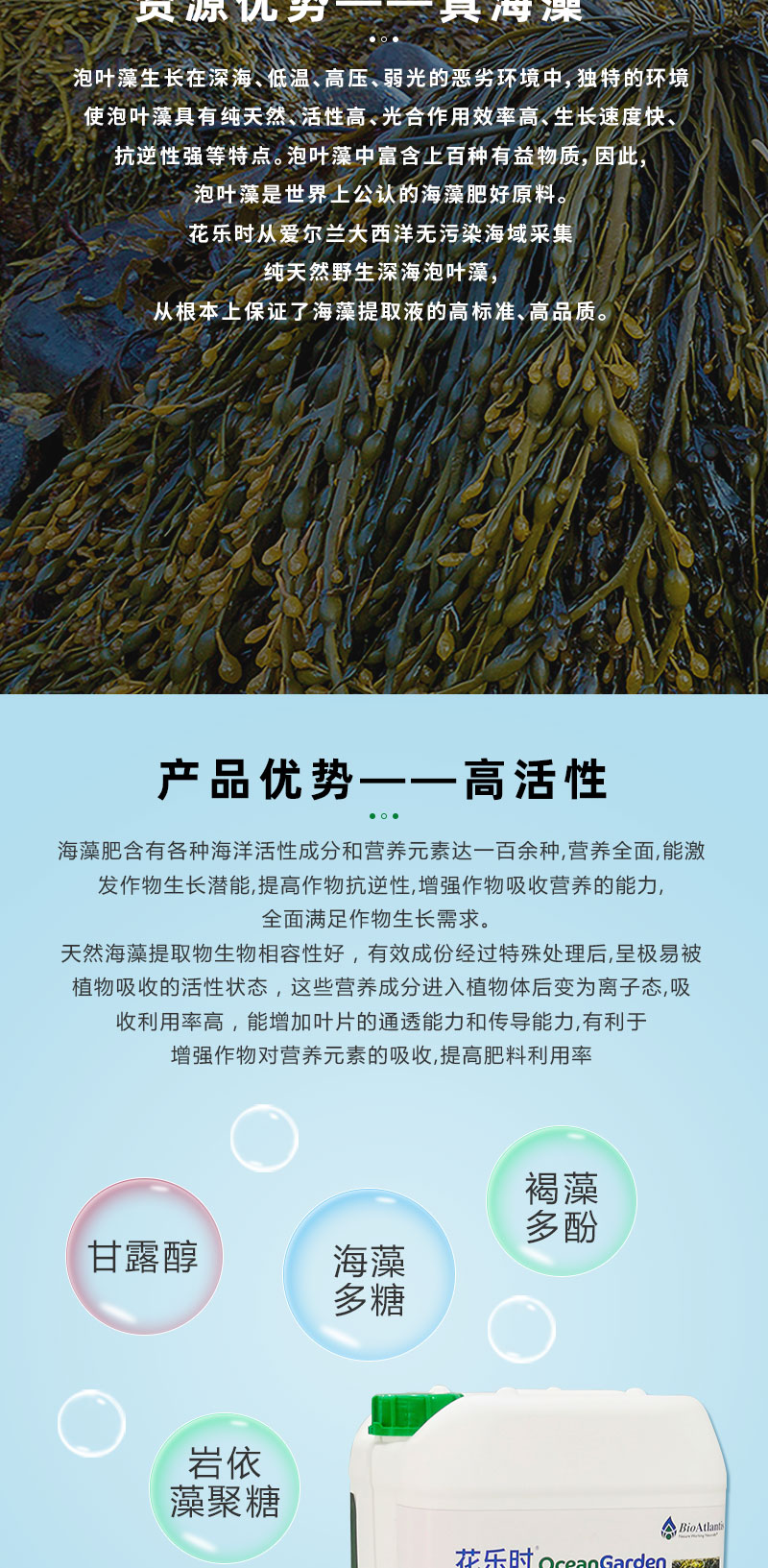 花樂時_02.jpg