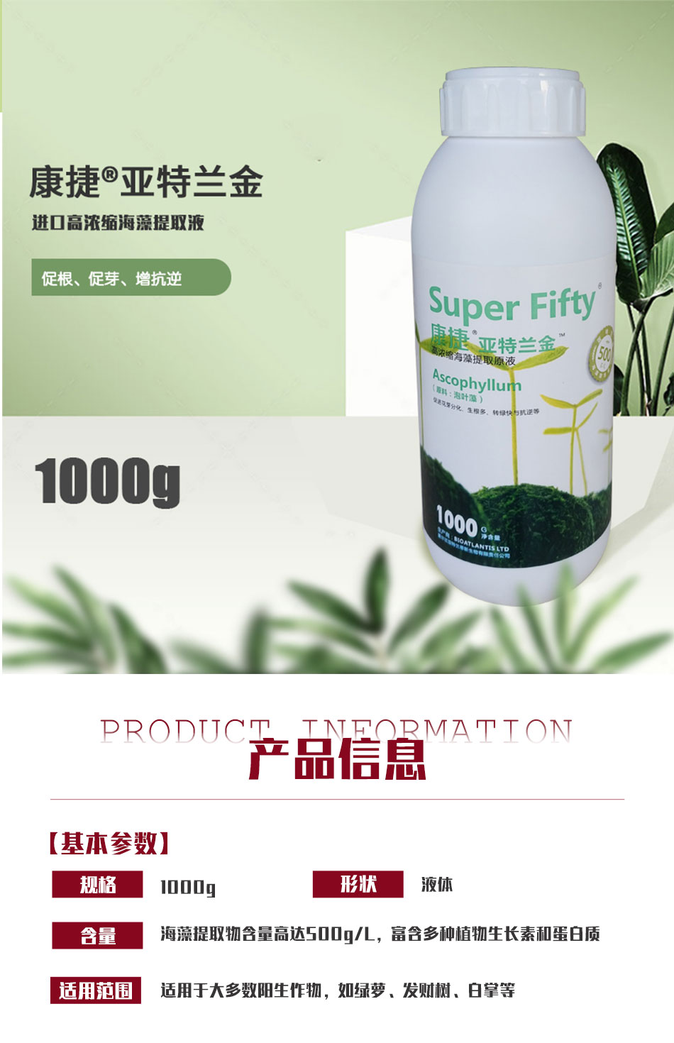亞特蘭金1000_01.jpg