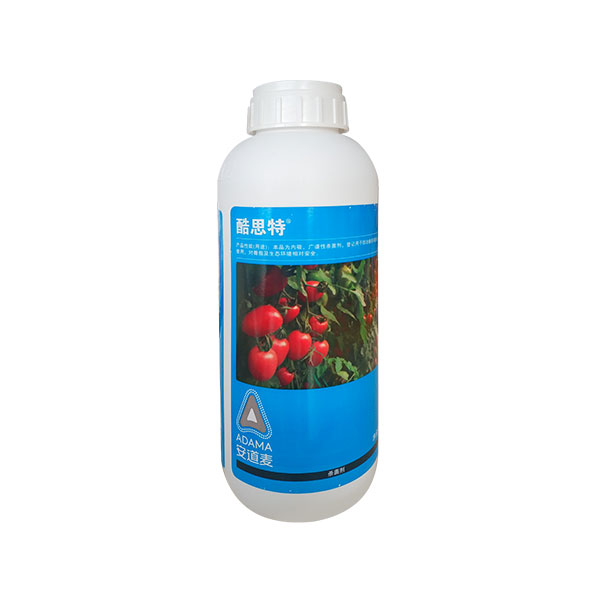 酷思特