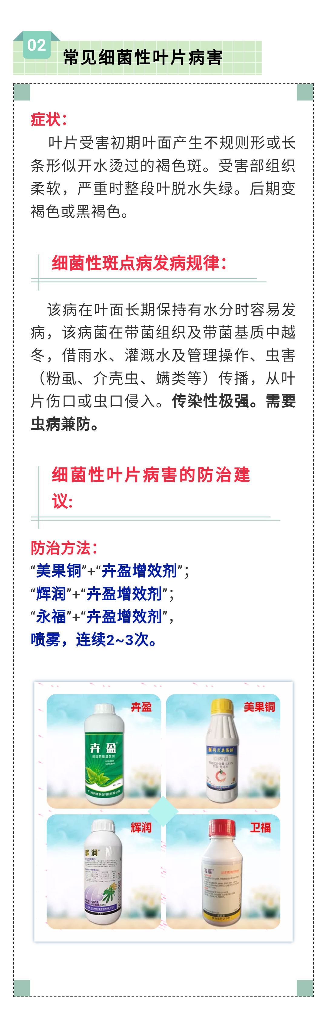 蟲害_02.jpg