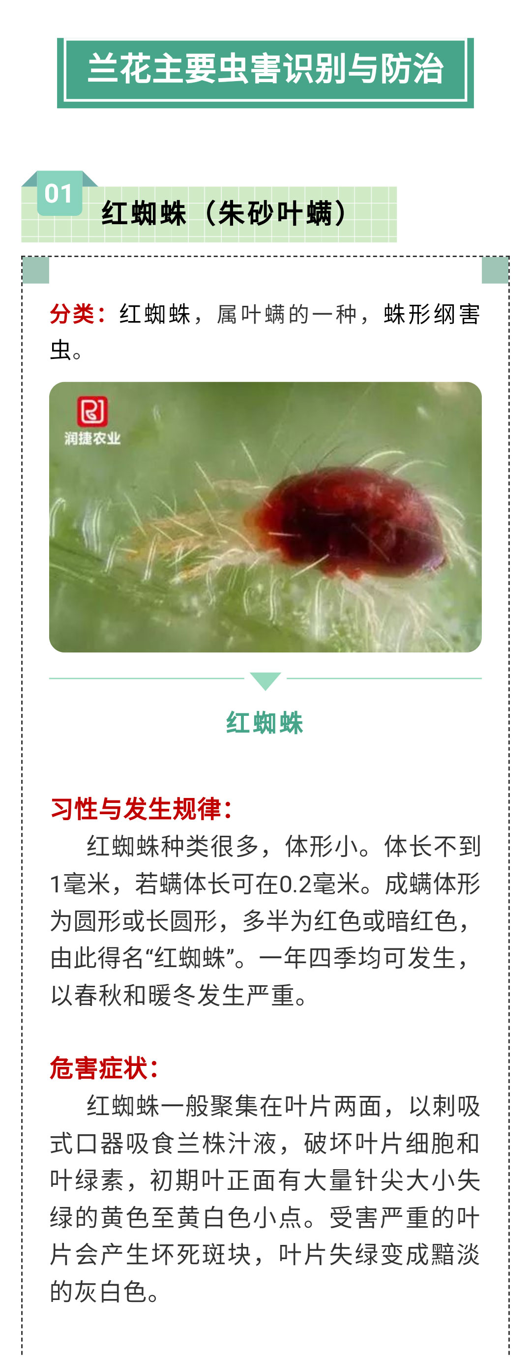 病_01.jpg