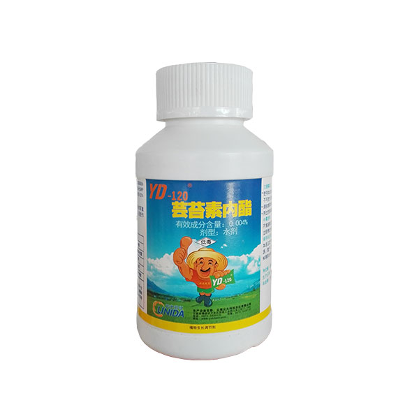 云大120